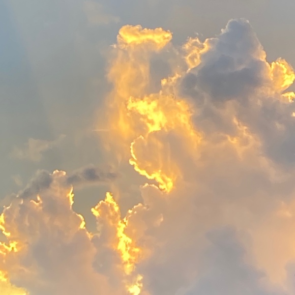 Meet your Posher, Riley - Picture 1 of 1